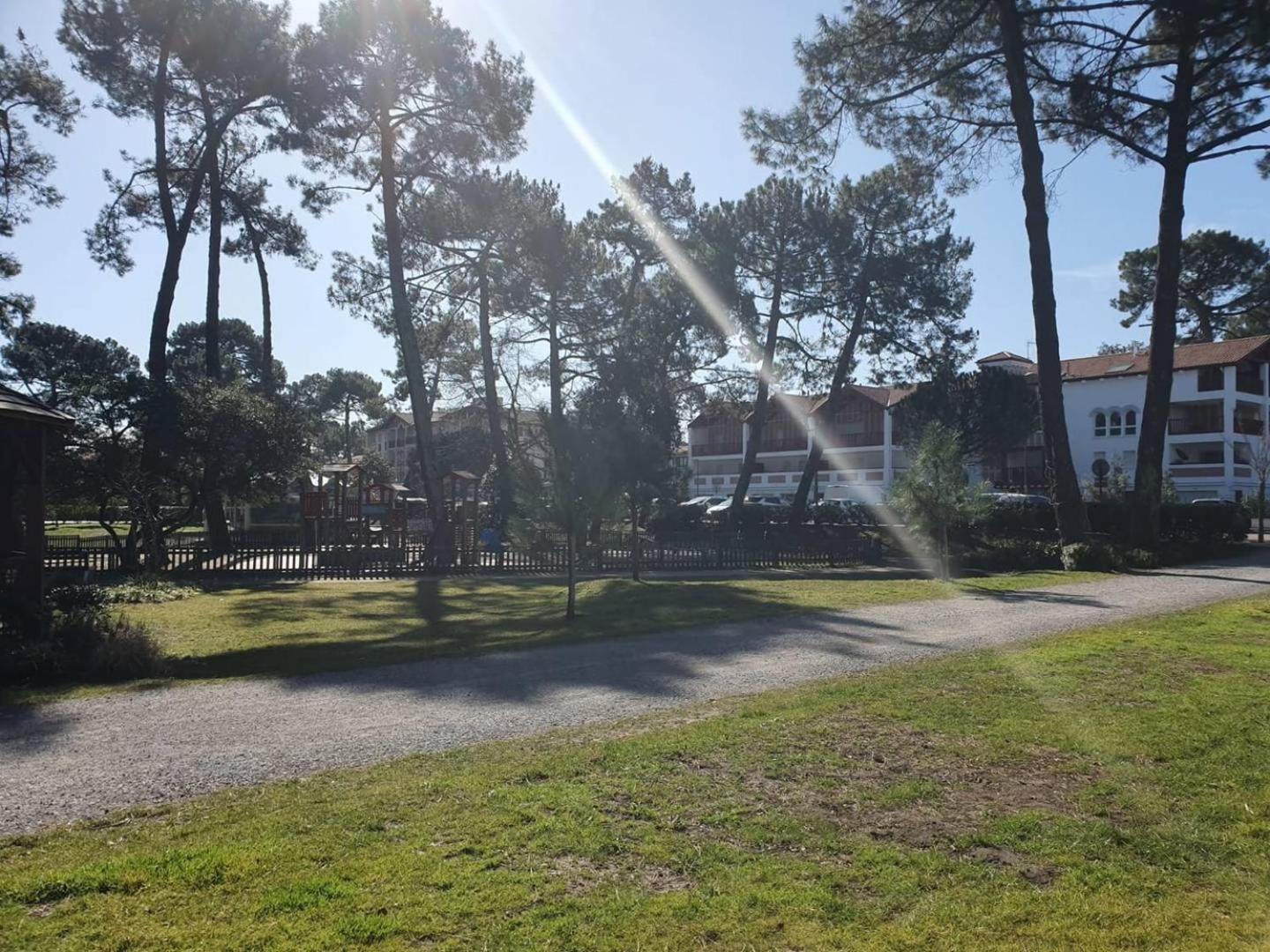 Terrasses Saint Georges: Tranquil Center Retreat Near Marine